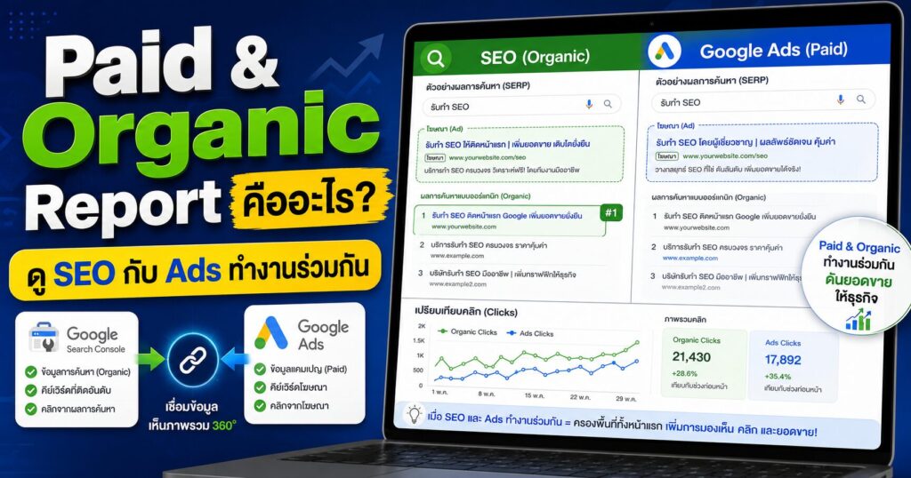Paid & Organic Report, Paid & Organic Report คืออะไร, Google Ads, Search Console, Organic Clicks